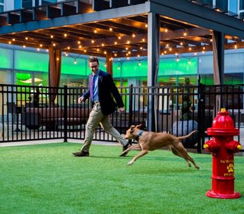 On-site bark park